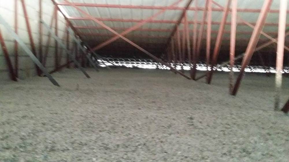 Integrator Chicken Farms, Batangas