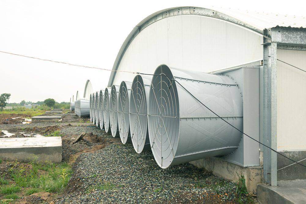 Tunnel-ventilation fan wall on an AIS-built poultry house